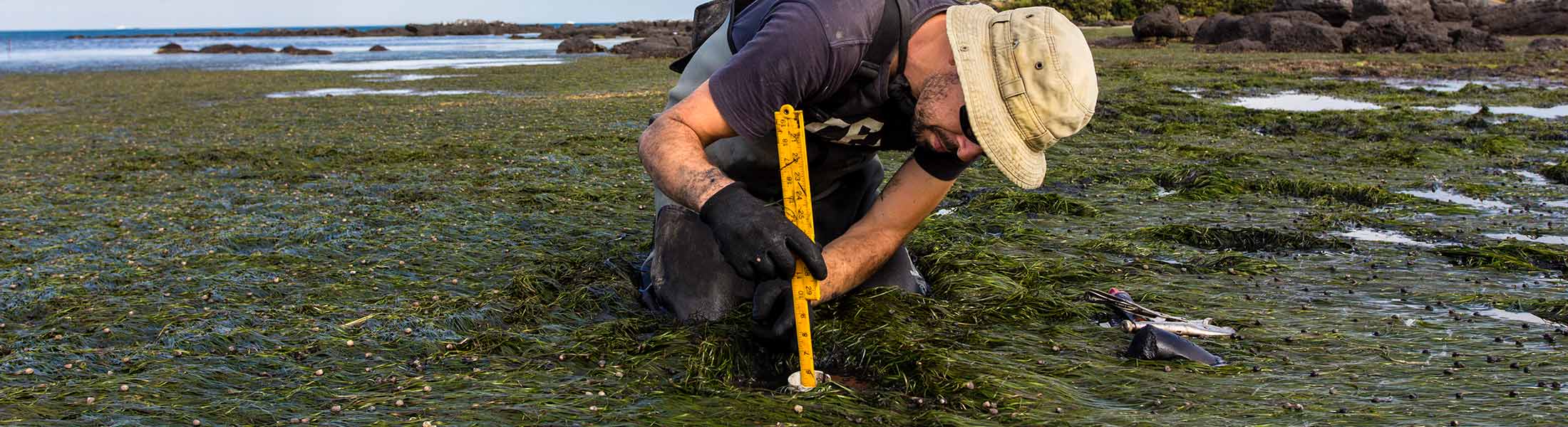 Water Quality Assessment