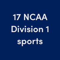 17 NCAA Division 1 sports teams