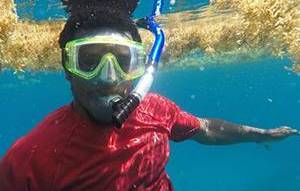 student snorkeling in blue water
