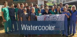 College of Medicine Watercooler